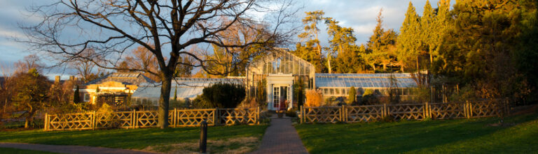 Narrow Conservatory winter