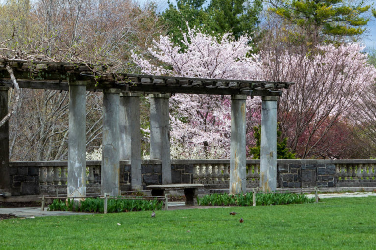 Spring