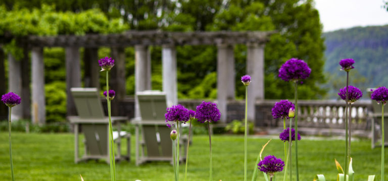 Spring Pergola Wave Hill