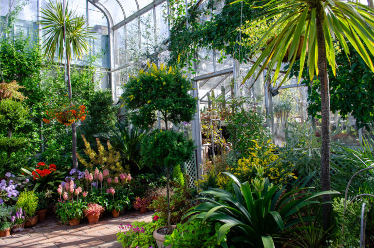 Wave hill Exploring Biomes credit Wave Hill