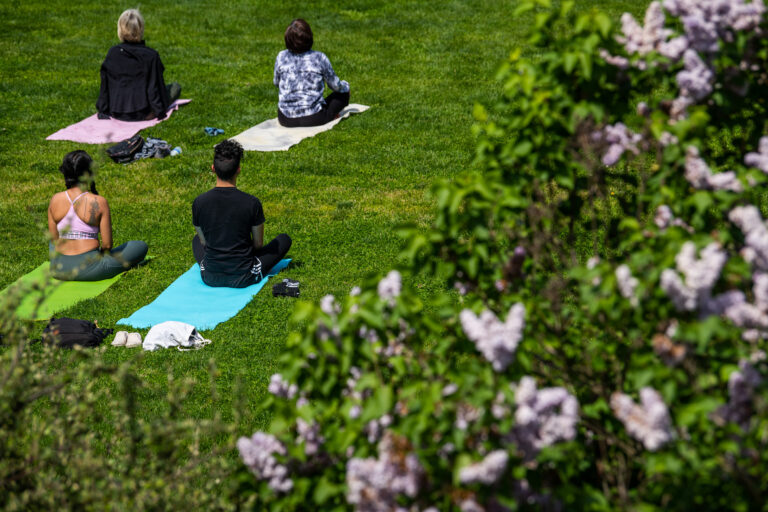 Wave hill Yoga in the Garden credit Joshua Bright