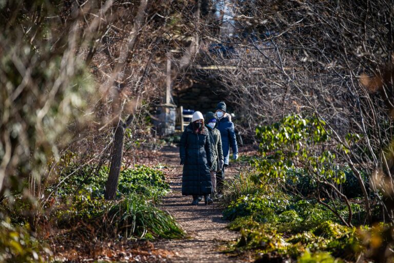 Wave hill Forest Bathing in the Winter Landscape credit Joshua Bright md